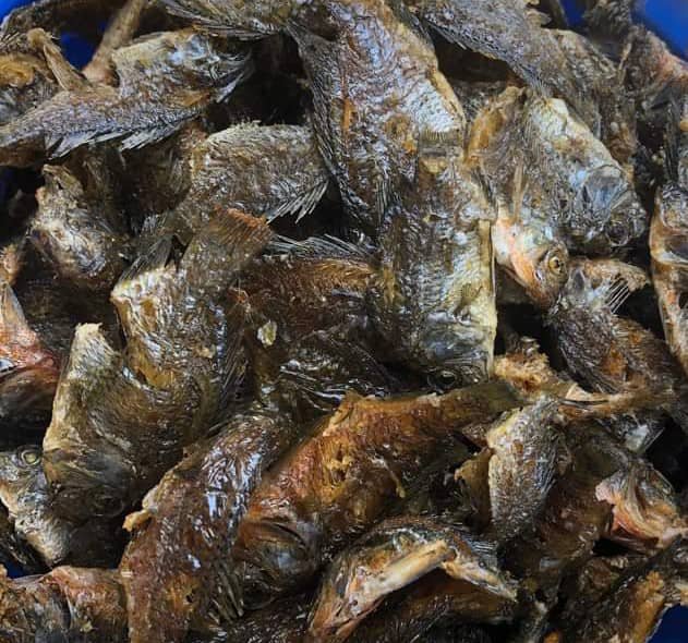 Fresh catfish on ice at a Ghanaian market